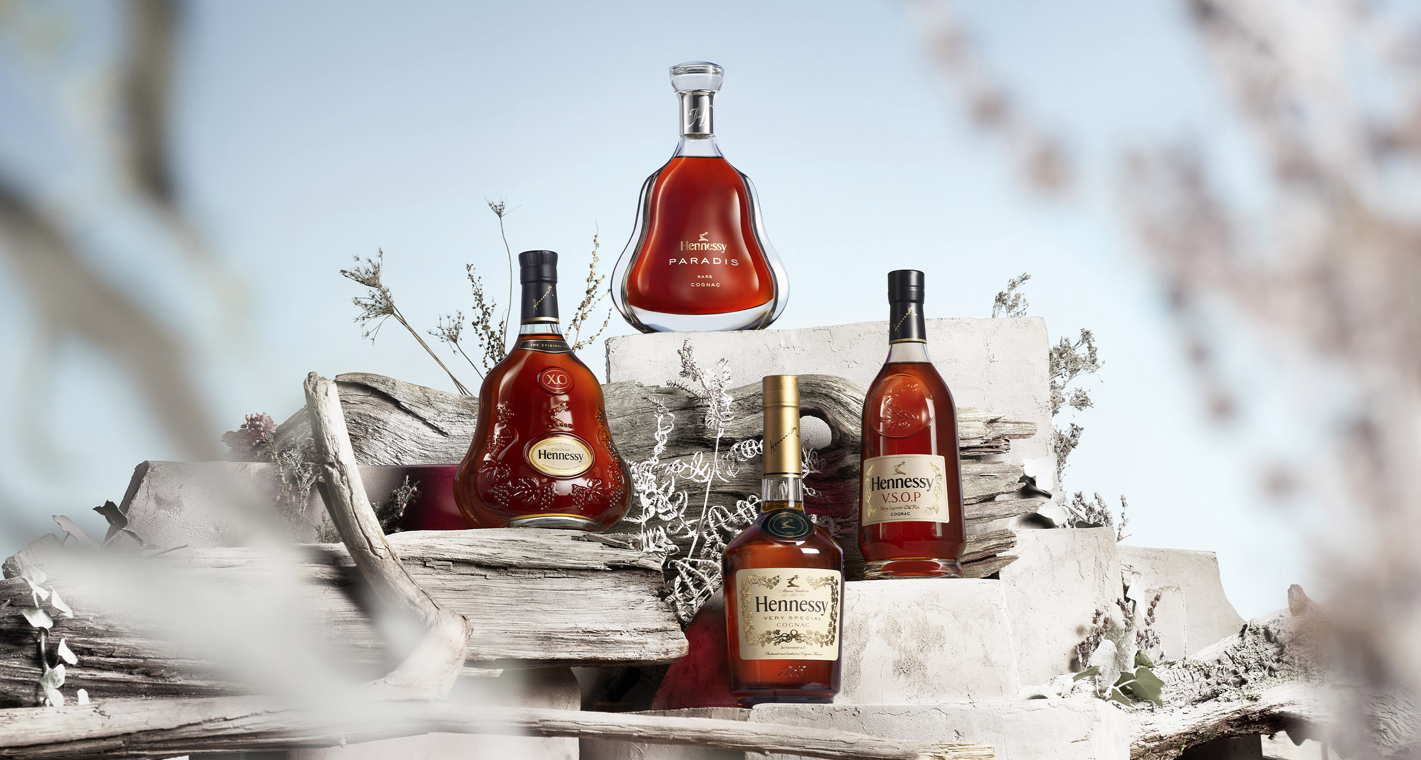 Hennessy Cognac Gift