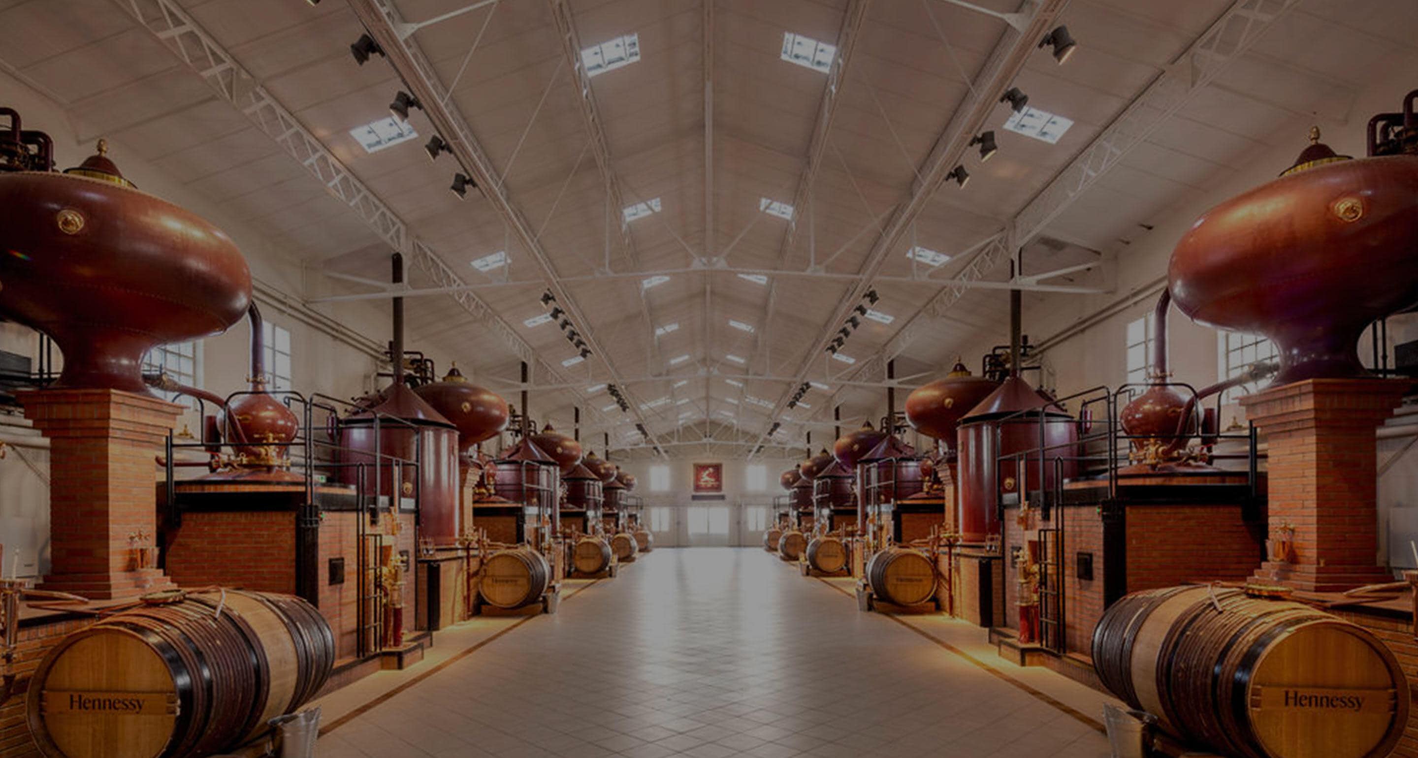 Hennessy distilation