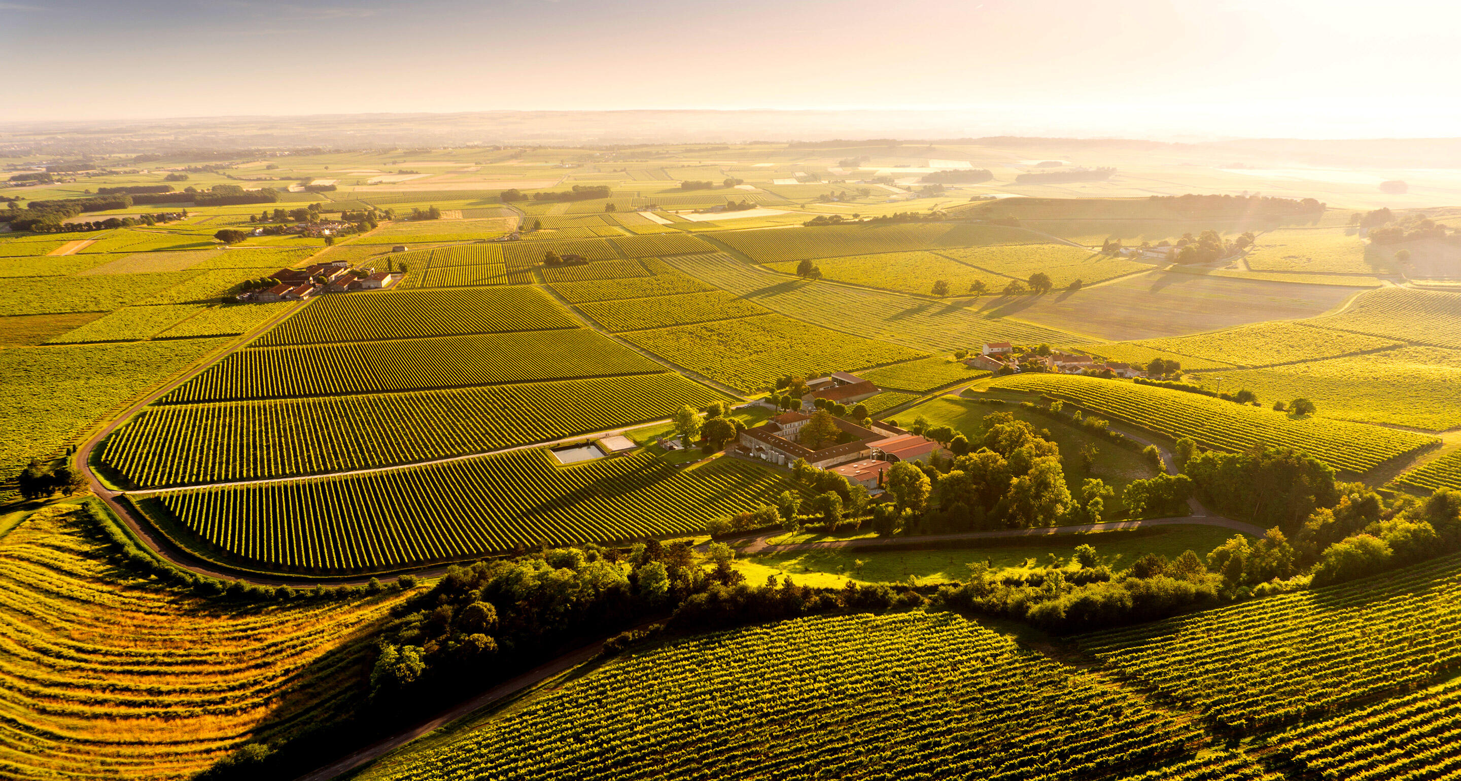 Hennessy circular economy 2