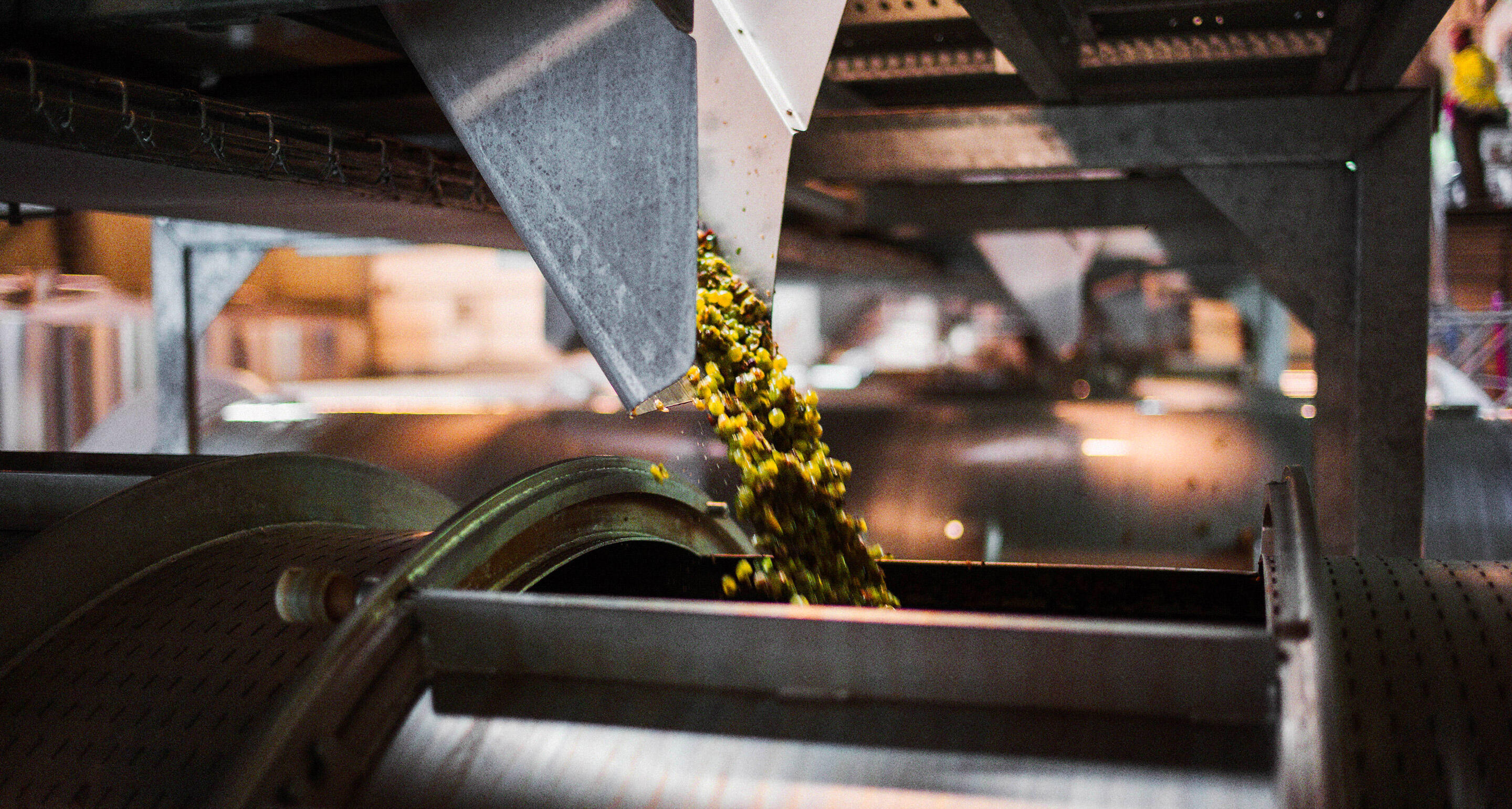 Hennessy circular economy 3