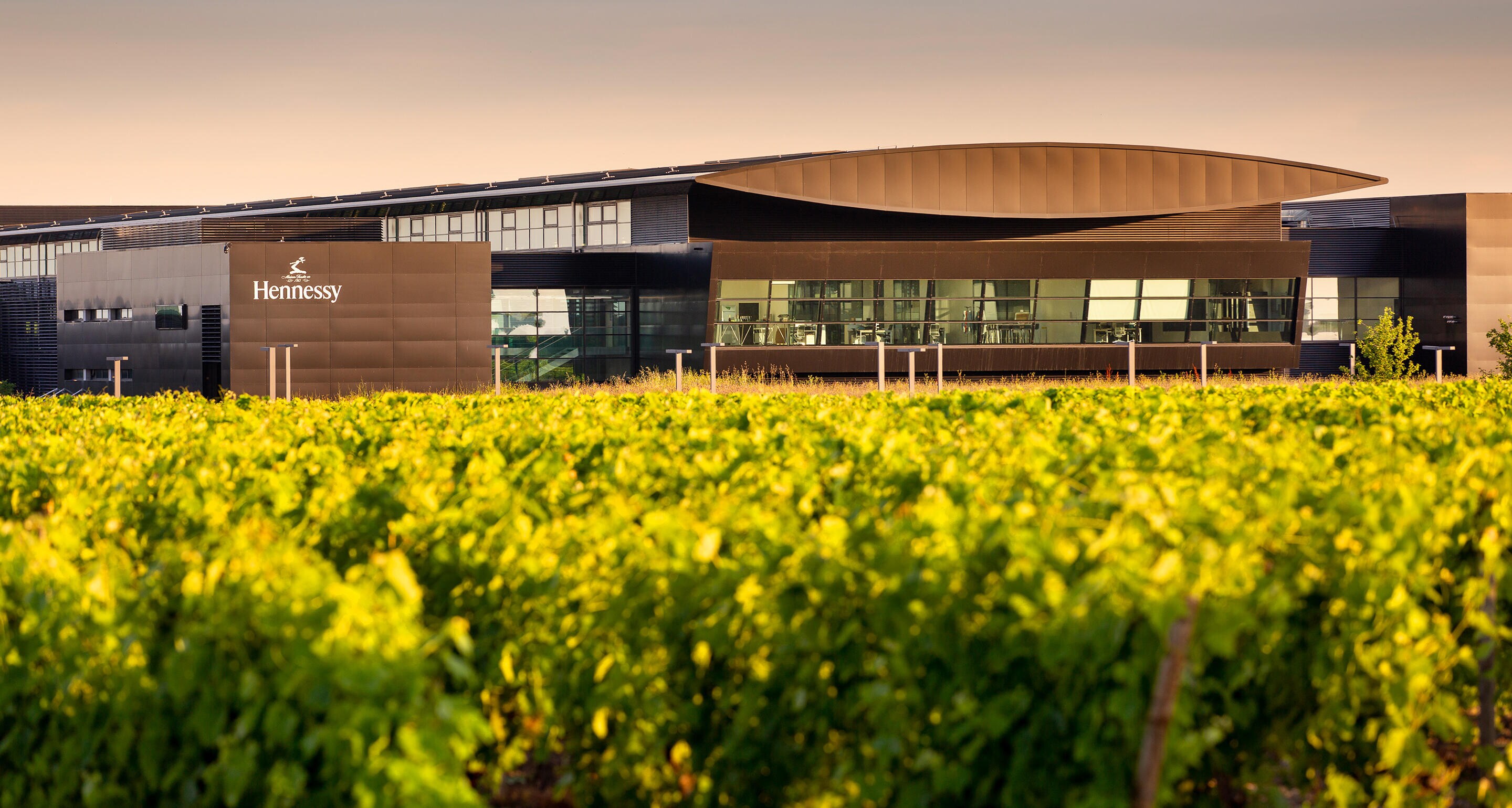 Building a sustainable future