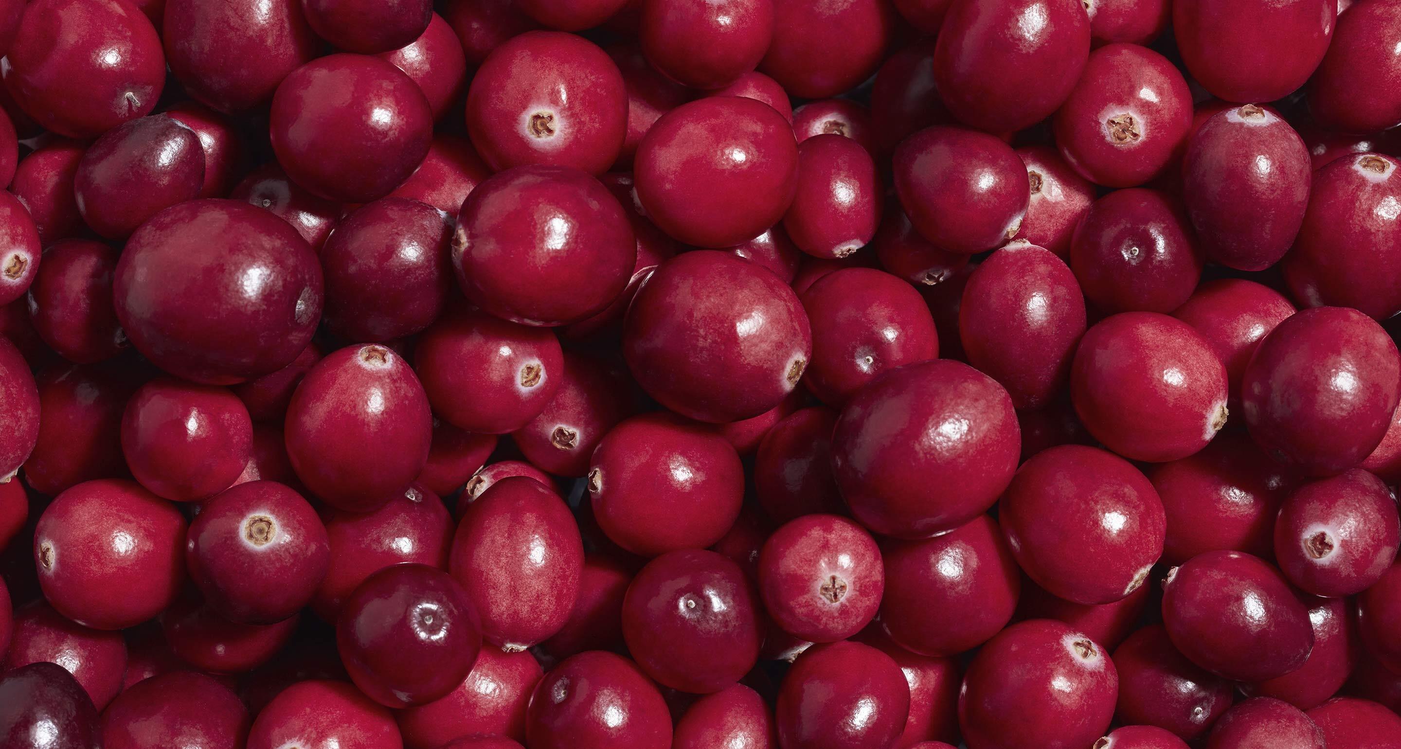 cranberry