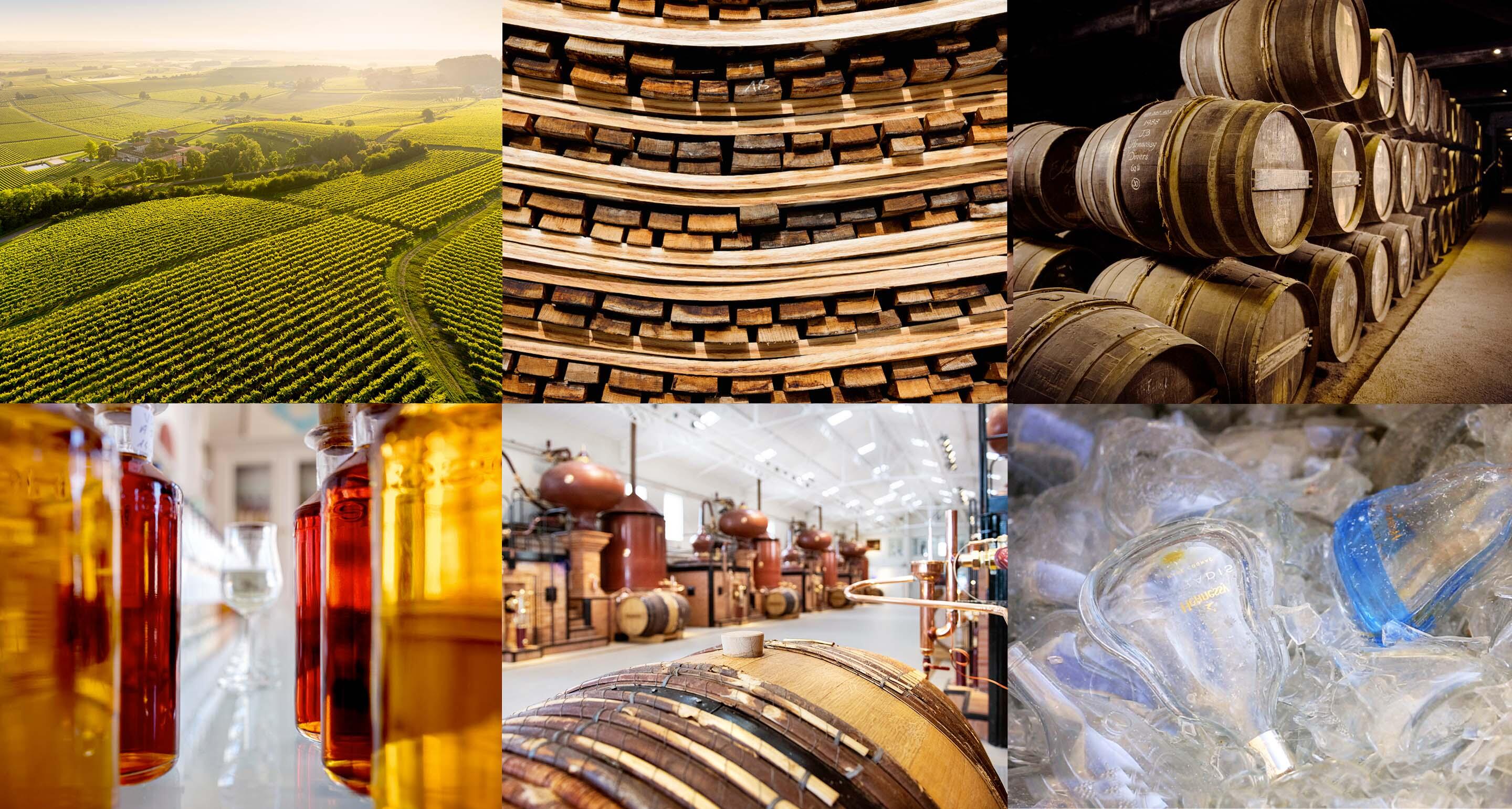 Plateforme Transparence