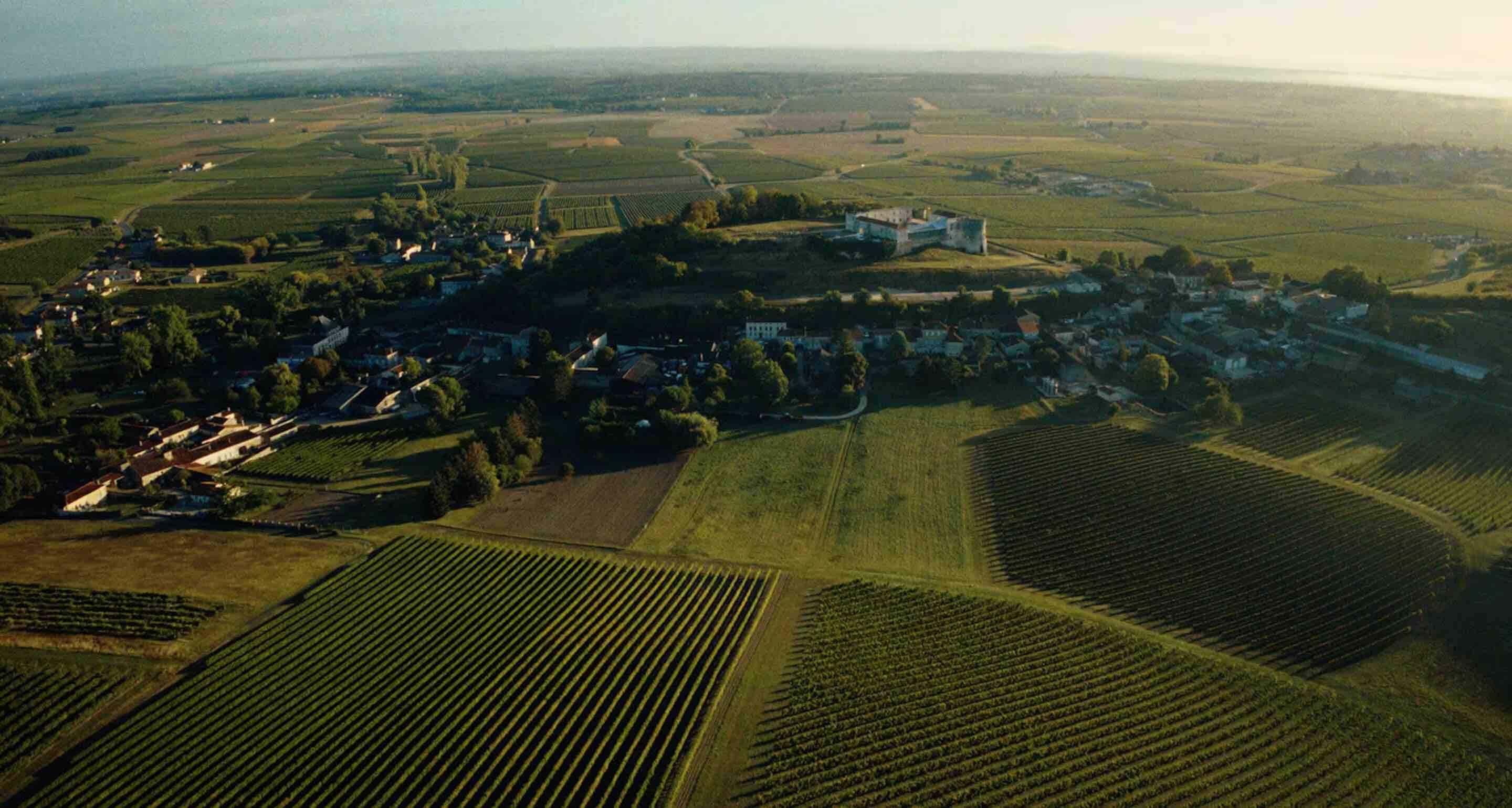 Living Landscapes