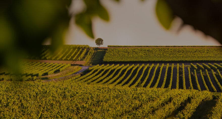 Hennessy our commitment cognac