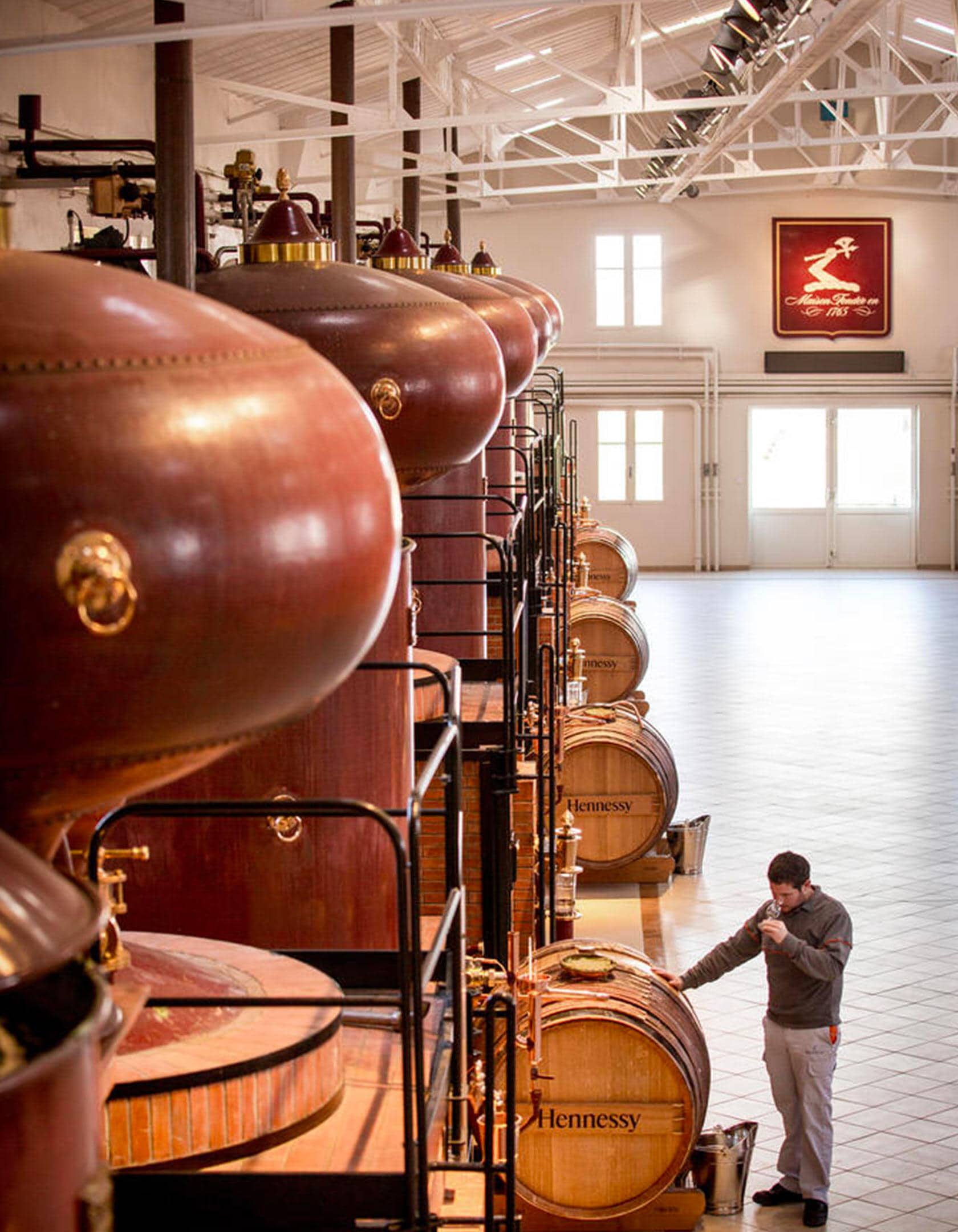 Hennessy distilation