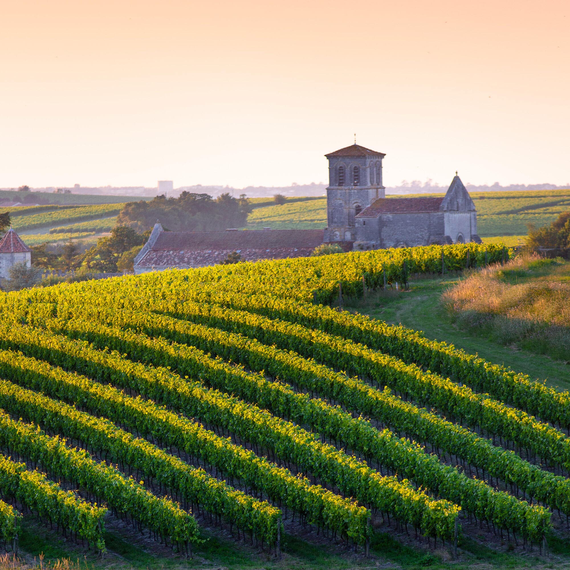 Hennessy social responsibility