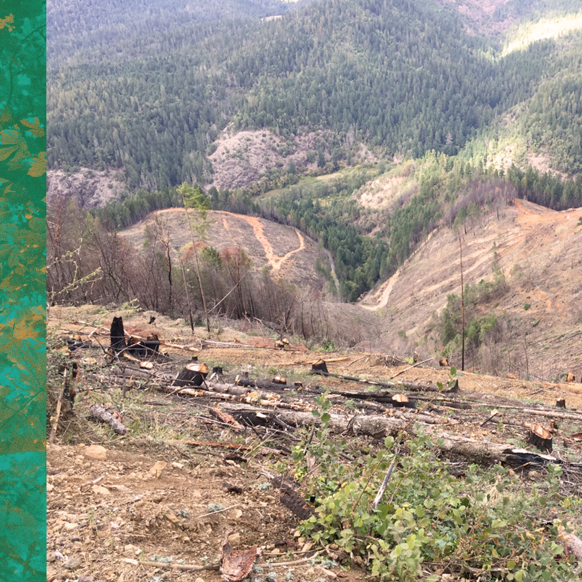 STORIES-UNITED-STATES