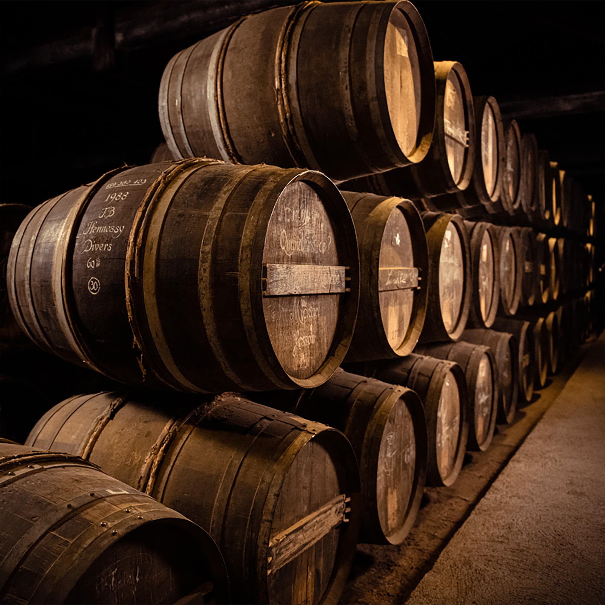 Antique oak barrels in a Hennessy ageing cellar